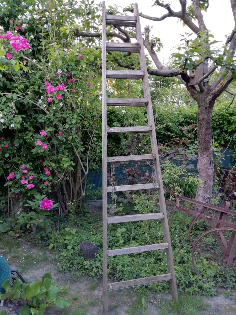 Große Vintage Holzleiter - #Garten #Deko #Gartendeko decowelt.haupts.org/produkt/grosse… via <a href="/Dekowelt_MG/">Wunderbare_Dekowelt</a>