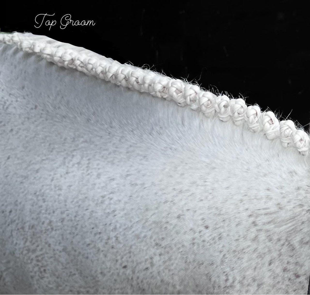 Warren Lamperd Coaching tweet media