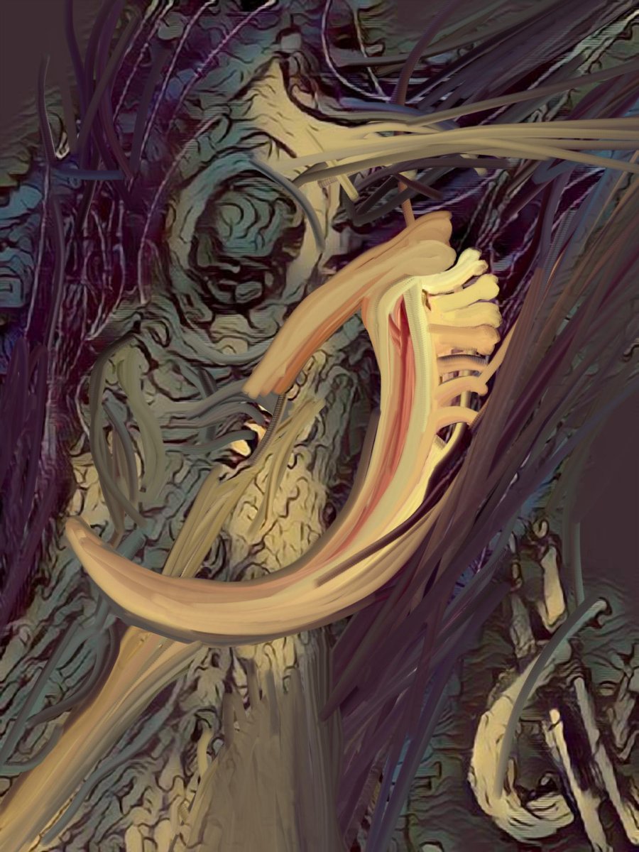 Casey Mutha'fkin Hughes tweet media