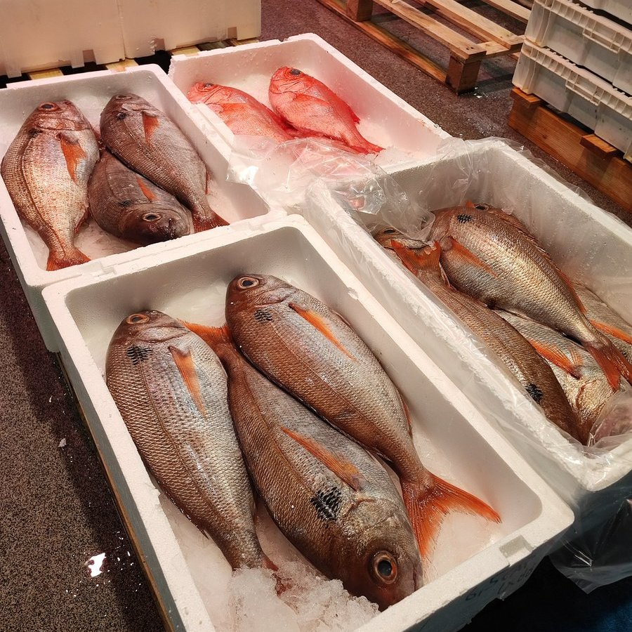 mercabilbao's tweet image. 🐟Bisiguaren ezaugarrietako bat hegatsen gainean duen marka beltza da... San Pedroren behatzen marka dela esaten da!👼
😋#Arrain gozo hau era askotara presta daiteke: labean patatekin, bizkarretara, saltsa berdean... Anima zaitez ezkutatzen dituen gozamenak aurkitzera!