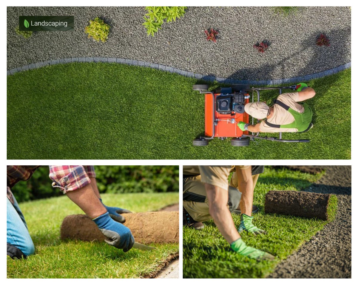 slandscapingpro's tweet photo. To schedule a consultation and start your landscaping project, Check this link
https://t.co/Lbmqr3rA76
#landscapeplanning #sydney #landscaping #landscapes #landscapeservices #sydneylandscaping #sydneylandscapeservice #landscapingcompany #sydneylandscaping #landscapingservices https://t.co/VgZUrYYjld
