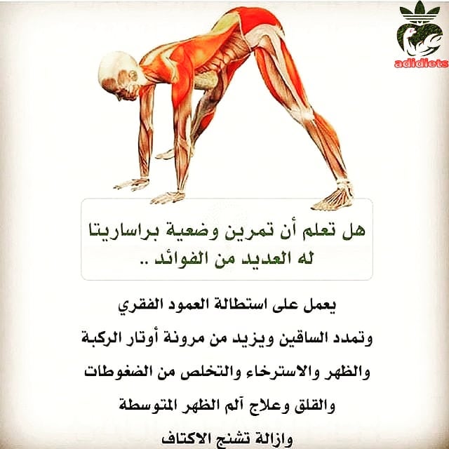 world_gym1's tweet photo. 4 وضعيات مهمه لاراحة الجسم والعمود الفقري خاصة احفضوها عندكم بالمفضلة.. https://t.co/F3RM9FbX5k