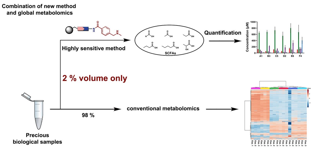 Congrats to <a href="/Weifeng_Lin13/">Weifeng Lin</a> for his new publication in <a href="/ChemCommun/">Chemical Communications</a>. We have developed a new method for the quantification of SCFAs in microbiome cultures. We are honored to be part of the 2023 Pioneering Investigators Series. Wonderful collaboration with <a href="/dujuan0806/">Juan Du Lab</a> and <a href="/CTMRBio/">CTMR</a>.