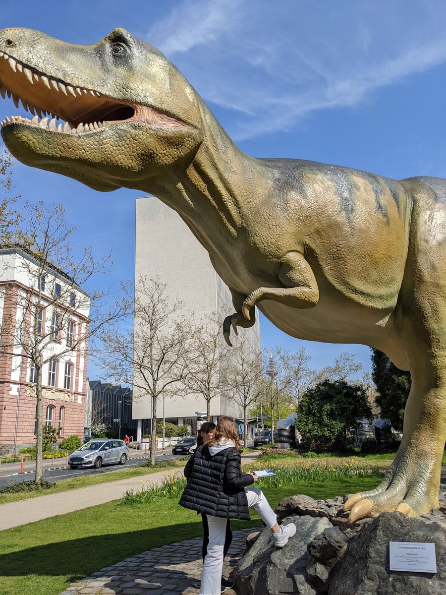 mathcitymap's tweet image. Willkommen an der @goetheuni! Zum @Der_GirlsDay gibt es einen #MathCityMap #mathtrail auf dem Campus Bockenheim! Wie immer dabei der #Dino am #Senckenberg Museum.
#iteachmath #twlz @kmkpad @Erasmus_Project 
📐🔢🦖