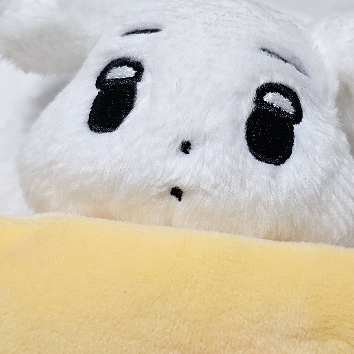 galgyo2's tweet photo. 오 토끼 https://t.co/1JYeugNSSW