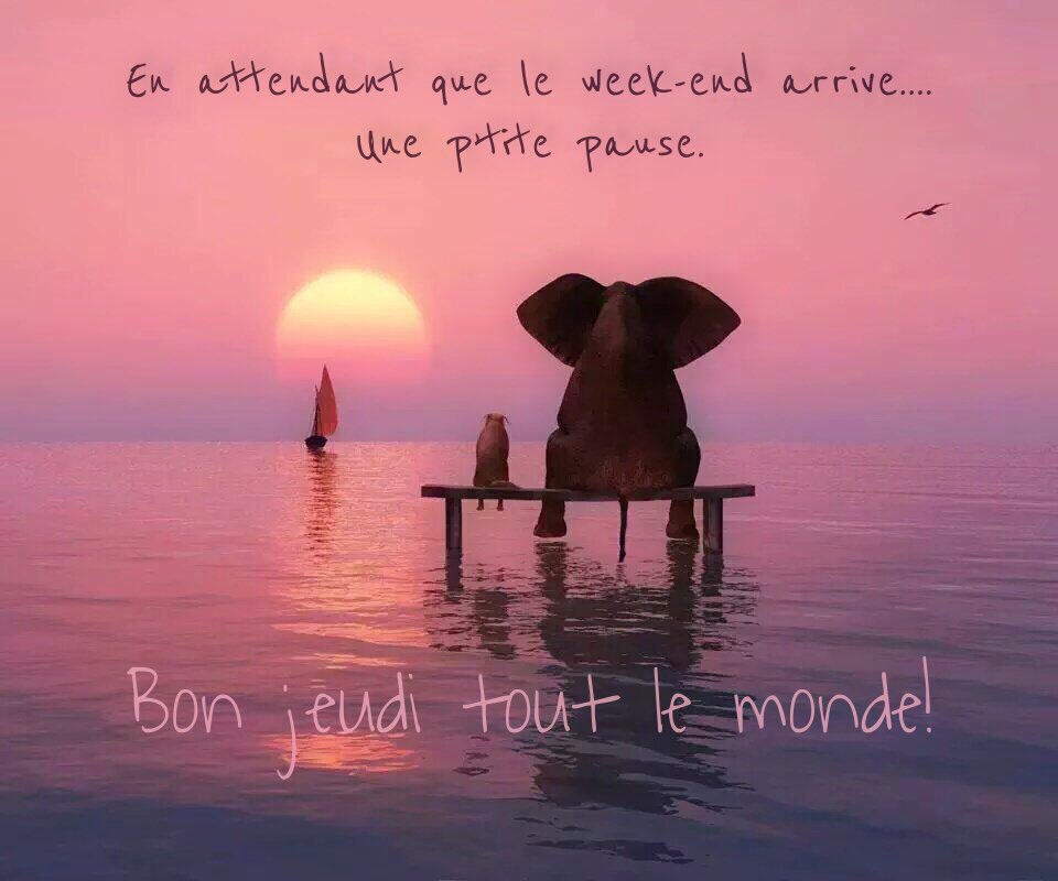 colombinepier's tweet photo. Bon jeudi tout le monde!
#ligue_des_optimistes https://t.co/srIykb3n4E