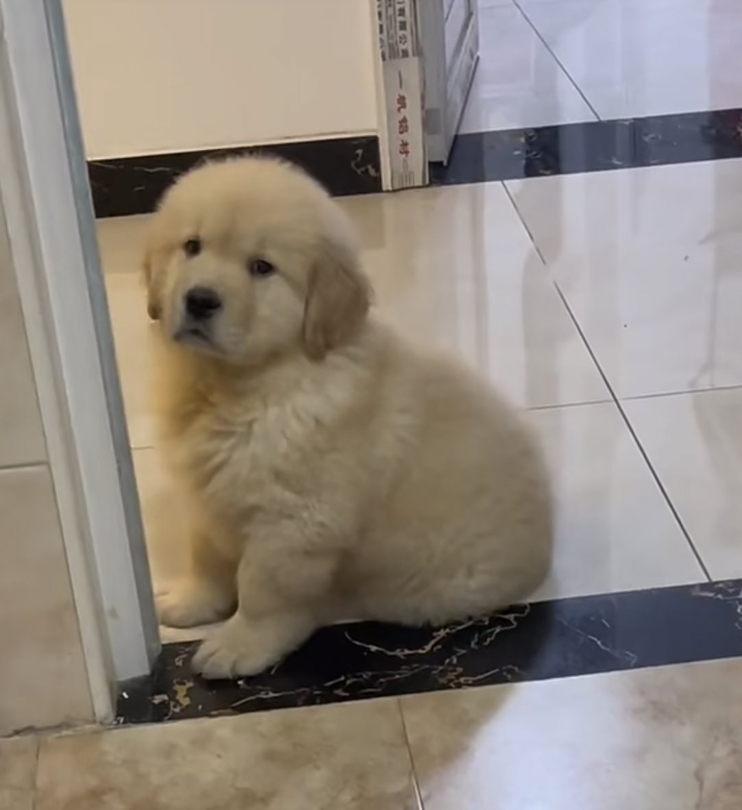 ไม่ต้องมาพุดเลยว่าจะกลับบ้านหนุ่งทุ่ม