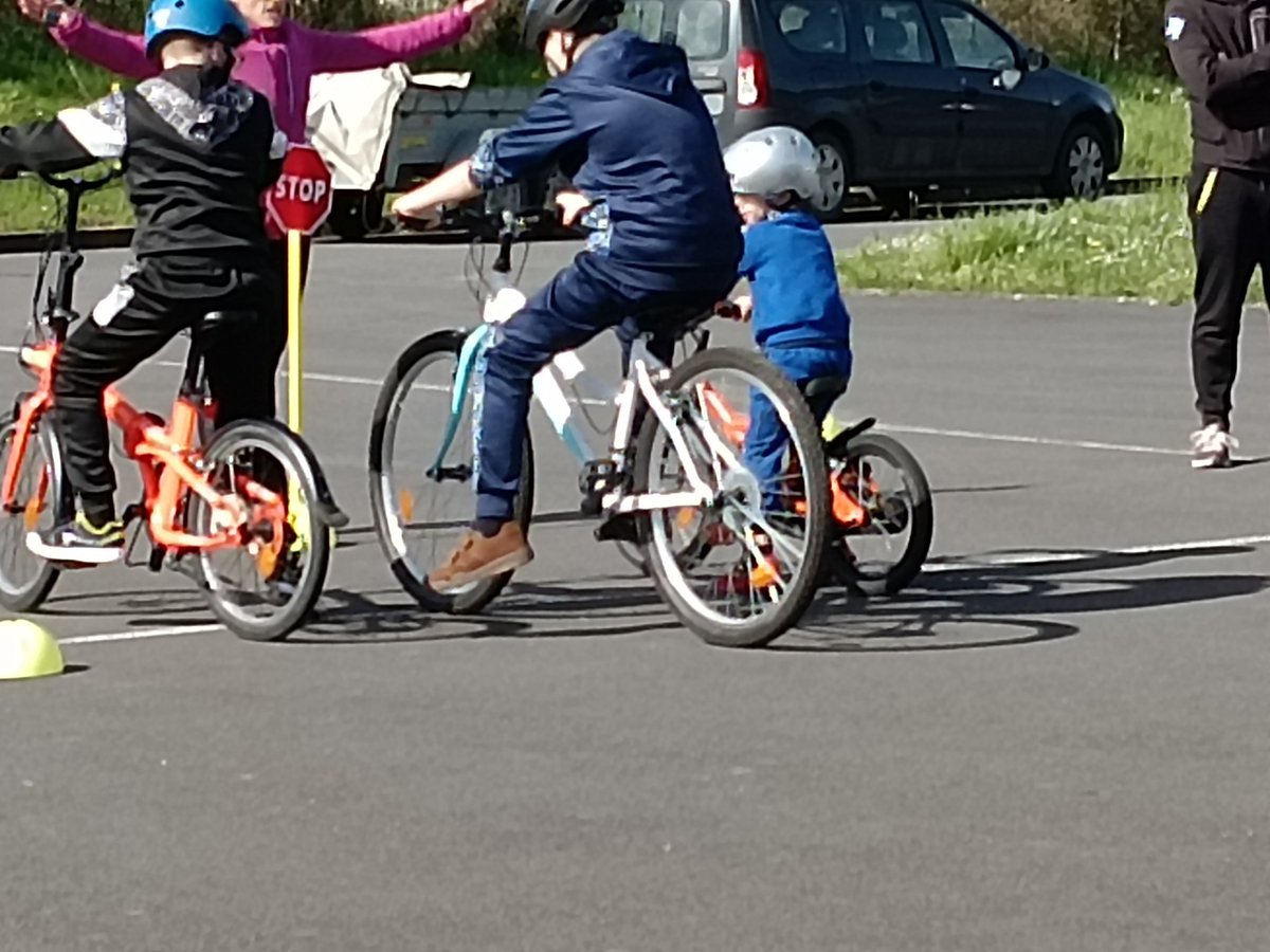 Bernadette Dion tweet media