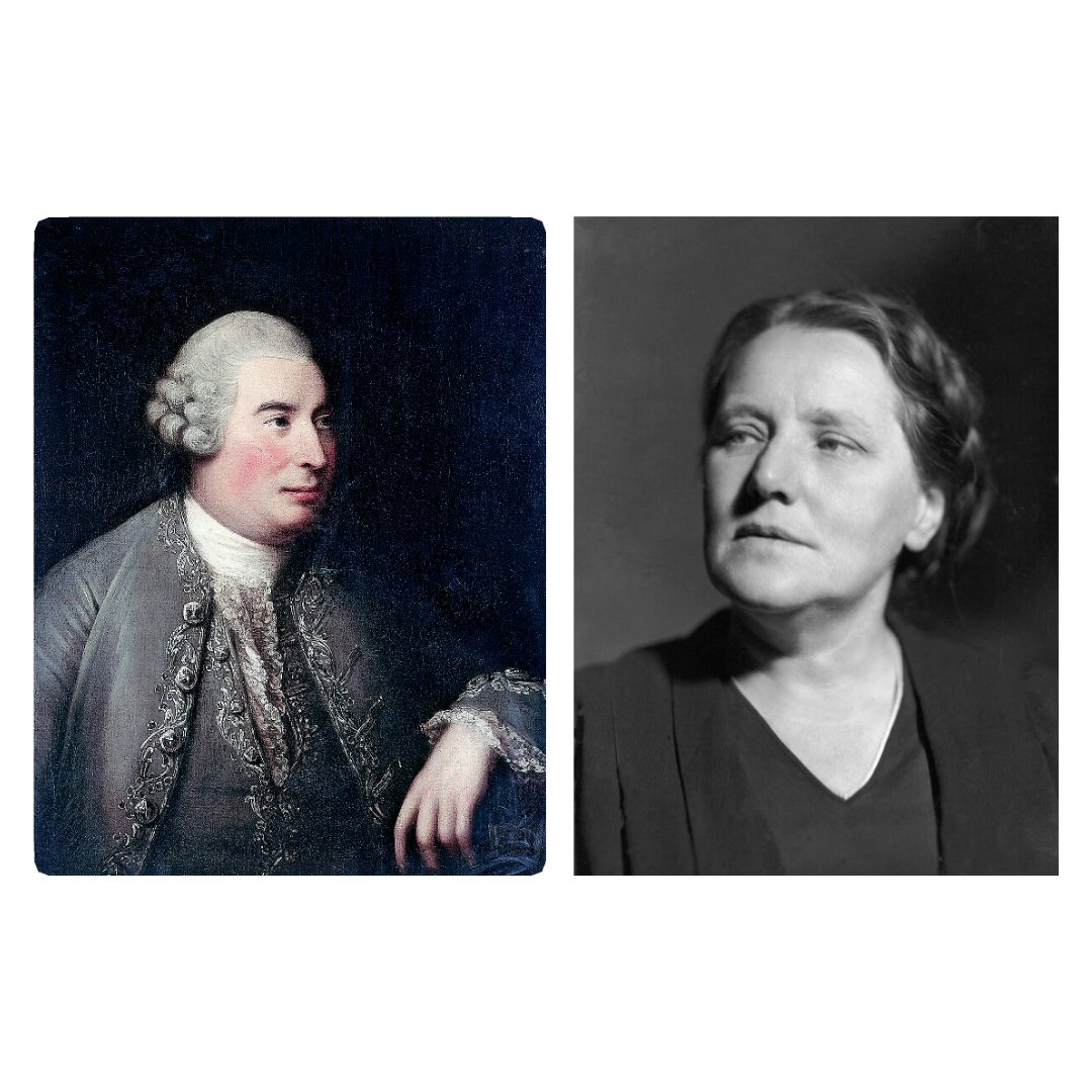 LogIn Project tweet media