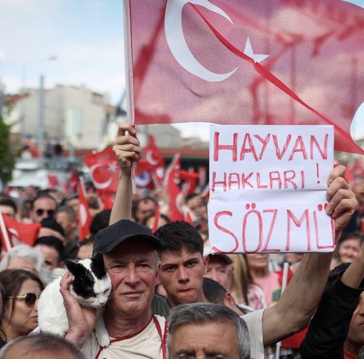 cattingwoman's tweet image. harika bir fotoğraf olmuş❤️
hayvan hakları söz mü?