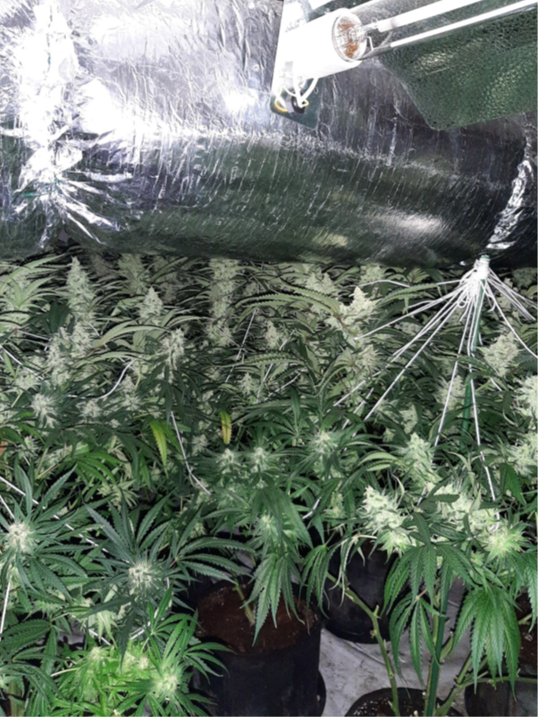 West Yorkshire Police - Leeds East tweet media