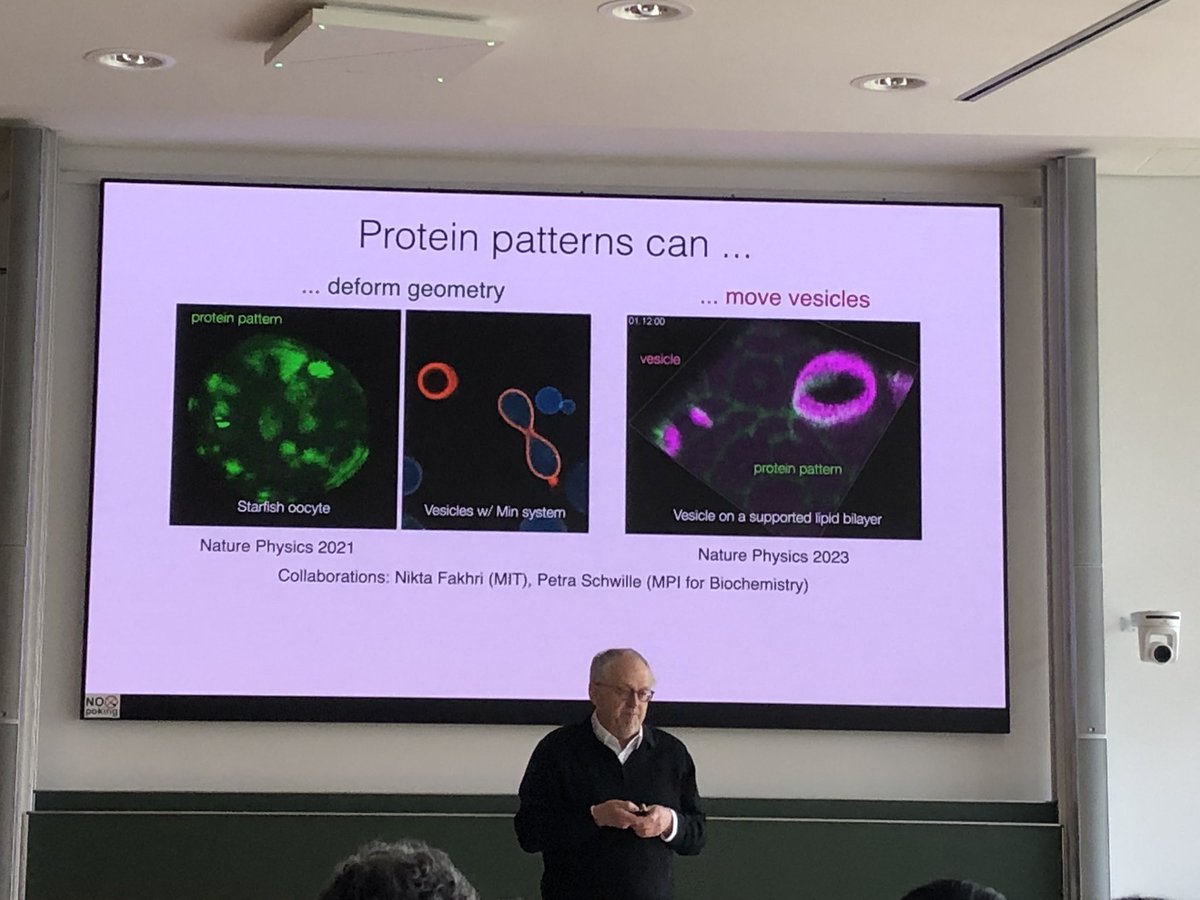 GTheraulaz's tweet photo. Erwin Frey (LMU München) talks about Self-organization principles in active matter systems at #active23 in Dresden https://t.co/XbVqWafSjp