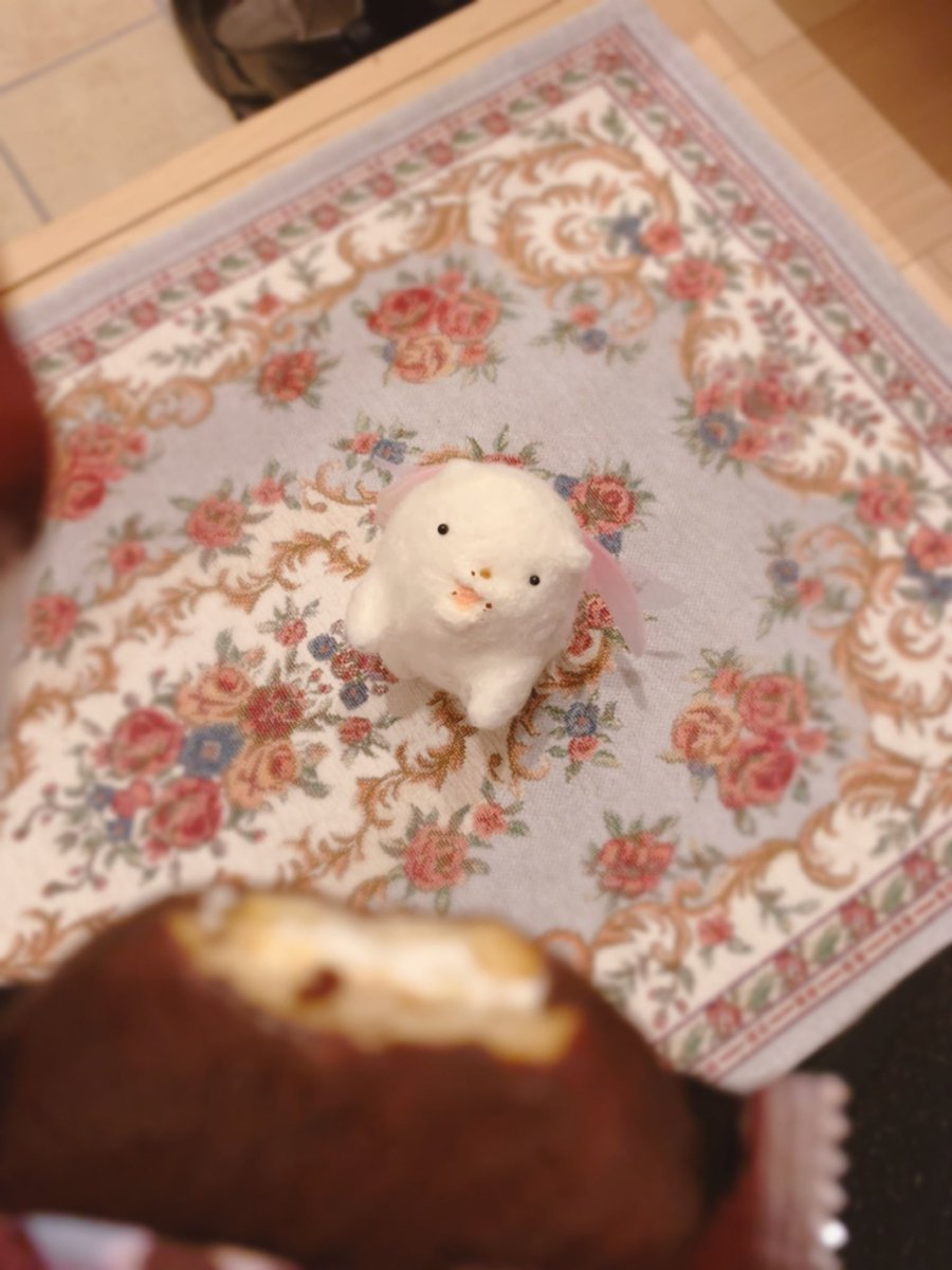 mallow_maykun's tweet photo. はじめまして(꒰ঌ 'ω' )
芋王国の王子のめいくんでし🥔☁️
ｽｶｲﾂﾘｰのテッペンに登るのが夢でし!
みんなと仲良くなりたいｸｩｰﾝ☁️ https://t.co/JpBihaN9hl