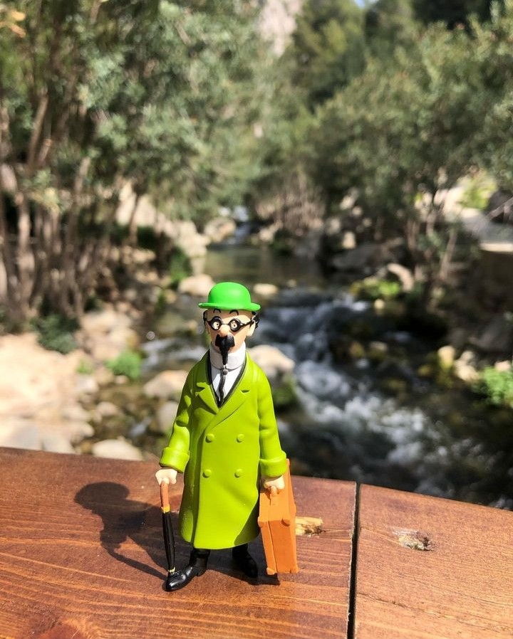 El profesor Tornasol nos ha visitado.
¿Tintin estará por aquí también? 🕵🏼‍♂️

Les Fonts d'Algar en Callosa d'en Sarrià, abiertas TODO el año. 🏞

📸 IG el_simbolo_de_kih_oskh 

#fontsdalgar 
#callosadensarria 
#costablanca 
#comunitatvalenciana