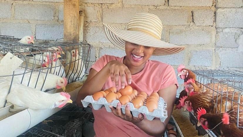Meet Salome Ledwaba, an electrician with a passion for poultry farming. 

READ MORE: tenacity-mag.co.za/an-electrician…

#TenacityMagazine
#SmallBusinesses