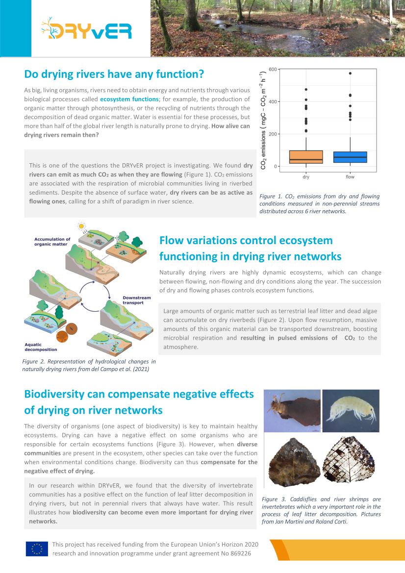 DRYvER_H2020's tweet image. Did you know that flow variations control #EcosystemFunctioning in #DryingRiverNetworks? Find out more in the new #Factsheet created by @DRYvER_H2020:
dryver.eu/media/marketin…
Or directly:
tinyurl.com/2nart9p8