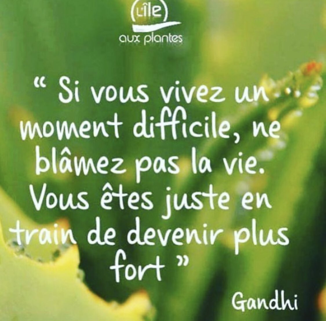 Michaella euride (@michaellaeuride) on Twitter photo 