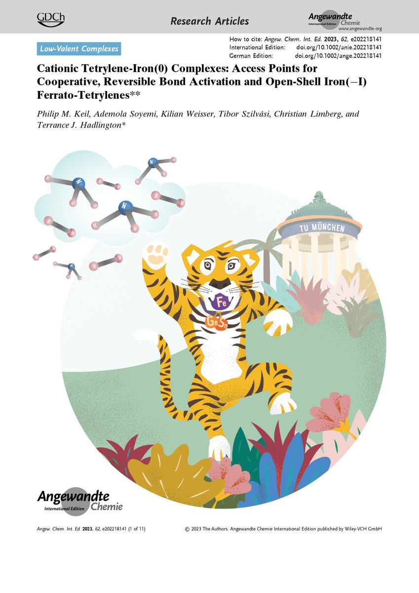 Super happy to introduce our Frontispiece in Angewandte Chemie 🥳

The Tiger, representing out 🐯CAT-ionic🐯 tetrylenes, carries some iron and catches NH3 and H2 🧲 All whilst in Munich's Englischer Garten, no less!

A future group mascot, perhaps...?

tinyurl.com/25db769d