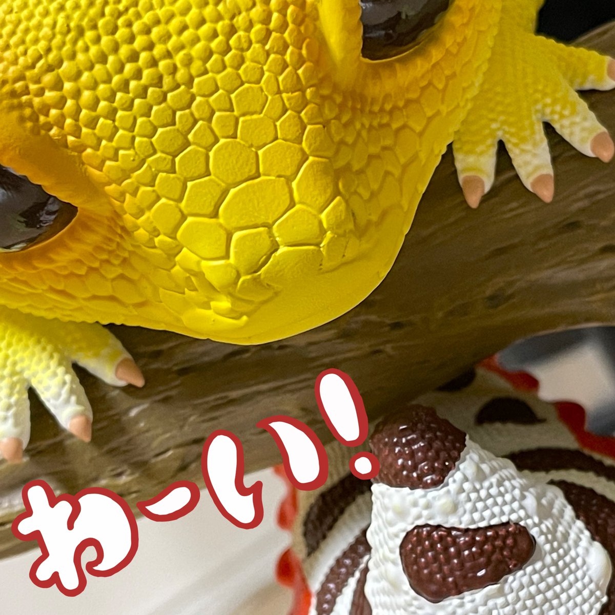 色々と想像を超える…😳💦
　　　購入して良かった〜👍

最高の爬虫類フィギュアが
　<a href="/ais_president/">みゃーじまCEO</a> 様から届きました🙌

＃レオパードゲッコー 
＃ヒョウモントカゲモドキ 
＃爬虫類