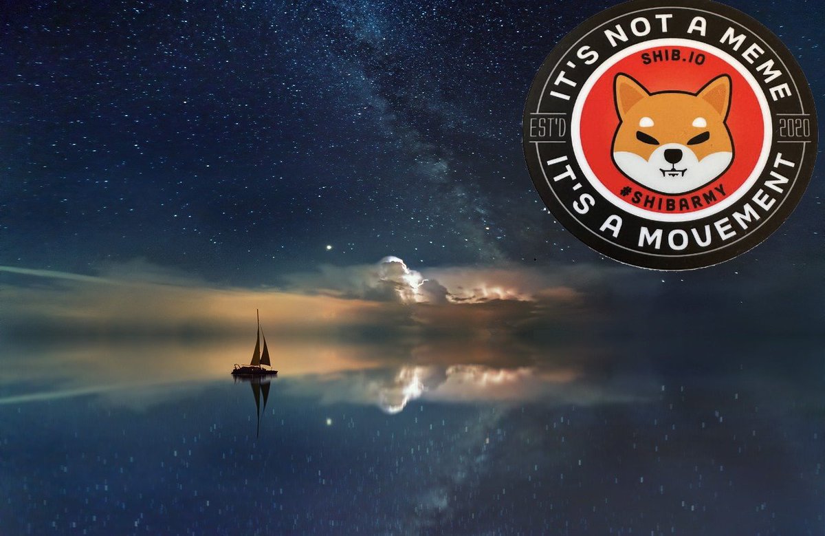 I was laying down and just thinking. I want to thank you all for allowing me to be part of this $SHIB journey and where we are all headed. When we first started out, many dismissed us as just another meme coin. But we knew that there was something special about this movement of