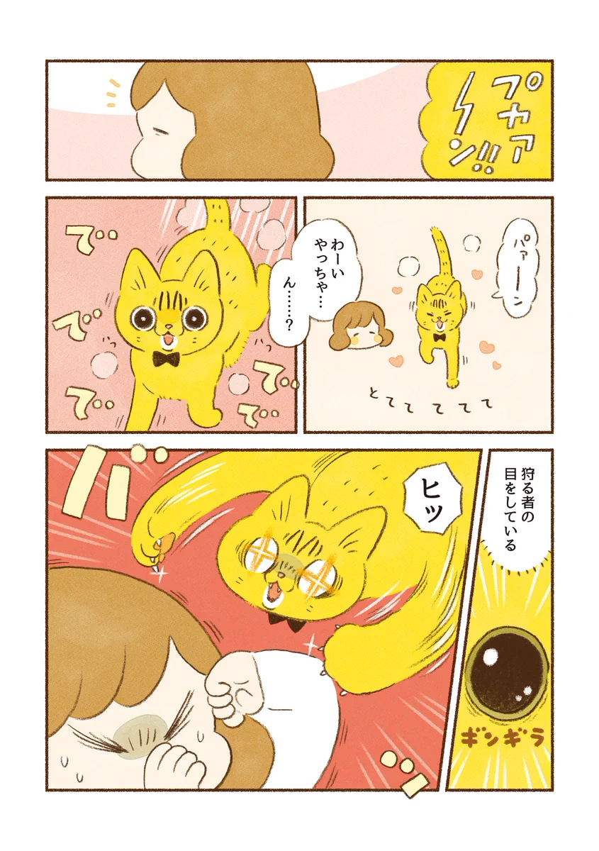 猫を飼っている人は思わず共感しちゃうかも？愛猫たちのフェイントに翻弄されるお話を描いた「猫漫画」！