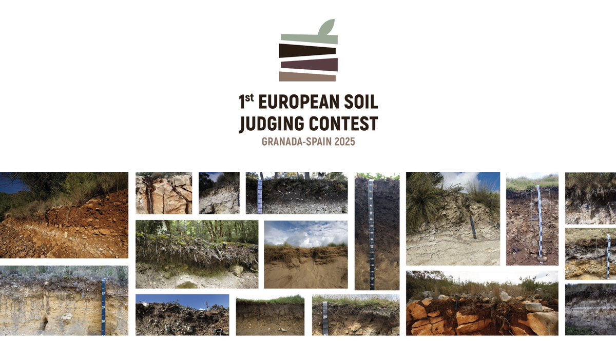 Jorge Mataix-Solera tweet media