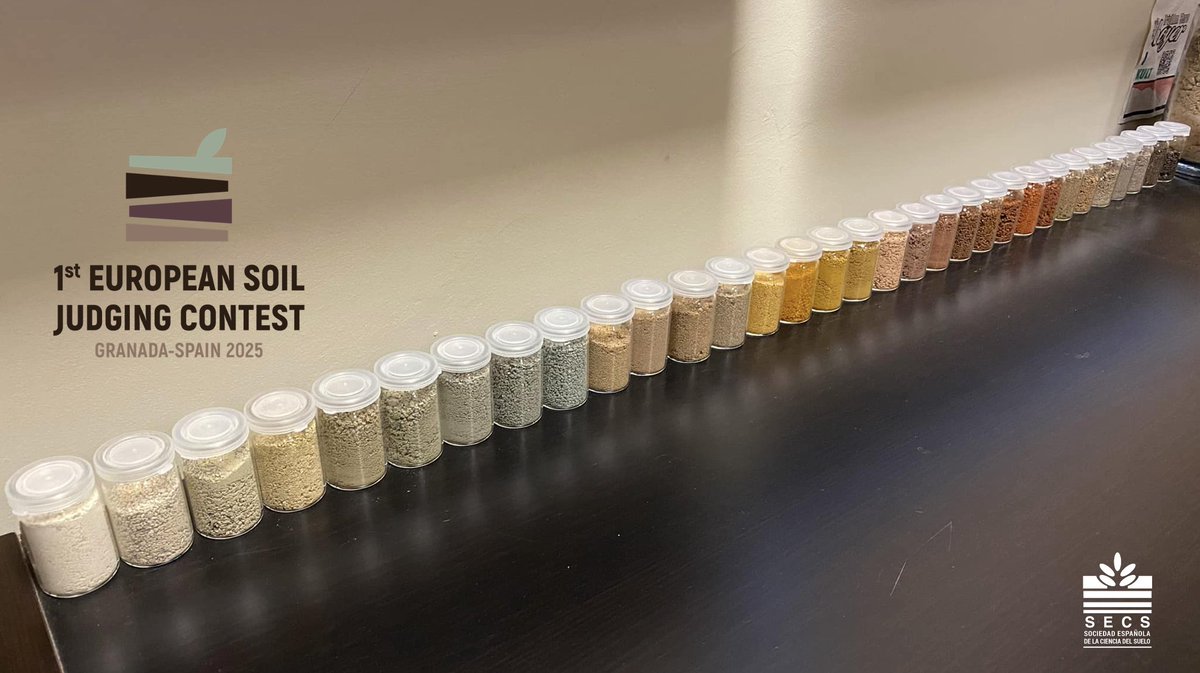 Jorge Mataix-Solera tweet media