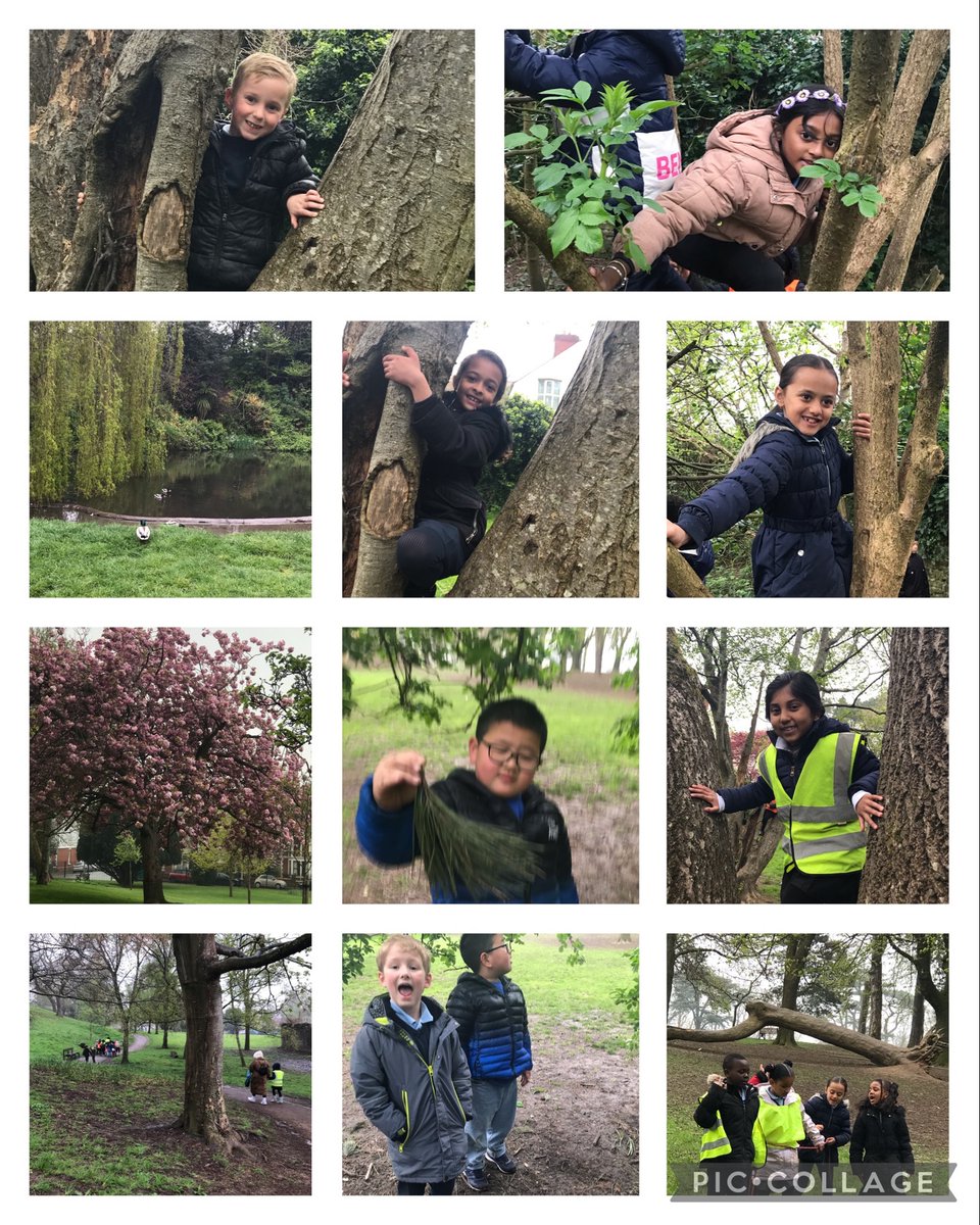 We have had a wonderful time in Thompson Park this morning. There was lots of nature, wildlife, climbing, exploring and……fun! <a href="/LansdownePS/">Lansdowne Primary</a> <a href="/MissSmith_LPS/">Fern Class- Year One</a>
