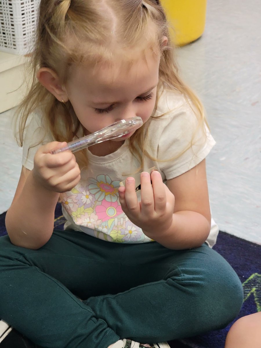 OurSaviorFLsch's tweet photo. Preschool 2 was looking and learning about bugs and why they are important! We counted their legs, sorted by colors and sizes. We also talked about how they help spread seeds and pollen to grow flowers to keep our Earth looking beautiful! #osls #livelove #golivelove #bugs https://t.co/FCyUkrycS3