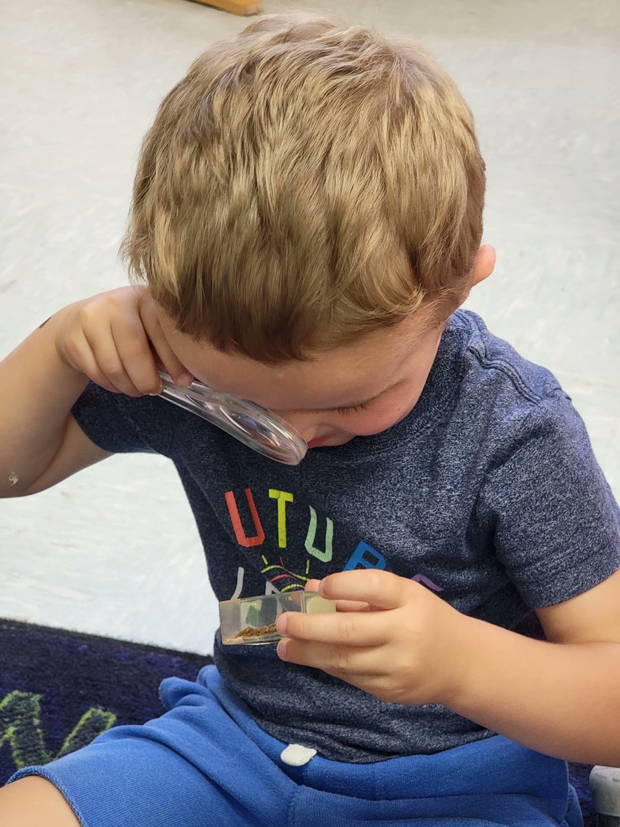 OurSaviorFLsch's tweet photo. Preschool 2 was looking and learning about bugs and why they are important! We counted their legs, sorted by colors and sizes. We also talked about how they help spread seeds and pollen to grow flowers to keep our Earth looking beautiful! #osls #livelove #golivelove #bugs https://t.co/FCyUkrycS3