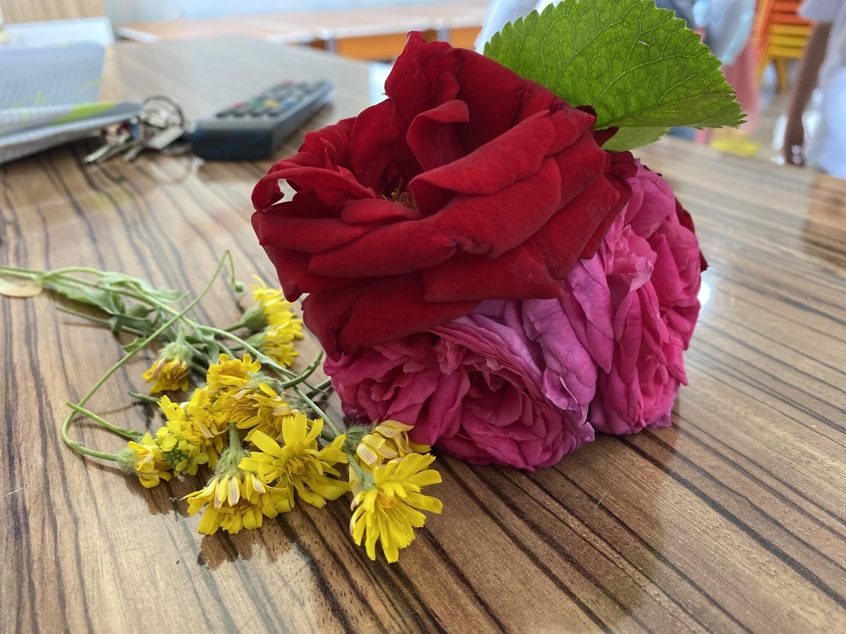 mlkadbllii's tweet photo. Bugünde çiçeklendim 🥰🌸 https://t.co/cyajaATBeX