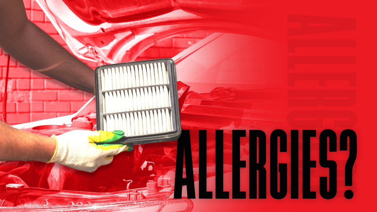 aceperfauto's tweet image. Don&apos;t forget to check your cabin air filter!

📞480-539-6872
💻aceperformanceauto.com
📌Gilbert, AZ

📞480-539-6872
💻
📌Queen Creek, AZ
