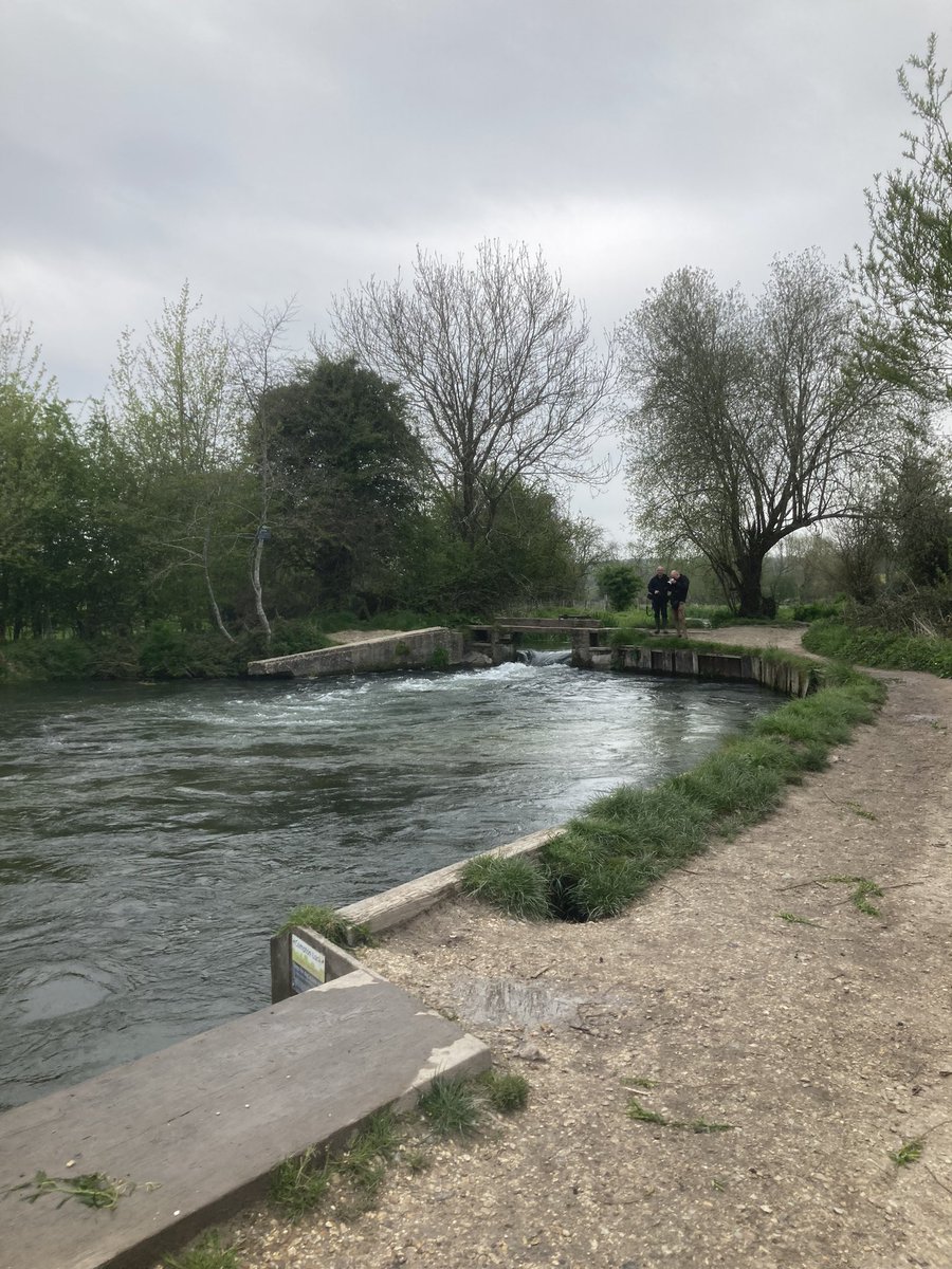 StephSpyro's tweet image. The River Itchen, a chalk stream, has been damaged by sewage discharges.

There are about 200 of these rivers in the world, and most of them are in the southern half of England.

Water companies dumped over 14,000 hours of sewage into England’s chalk streams last year.