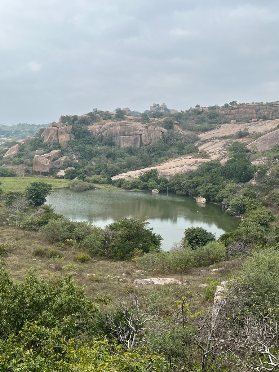 Elahe Hiptoola tweet media