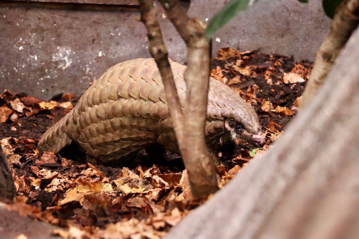 Jack Baker 🌵🐾 tweet media