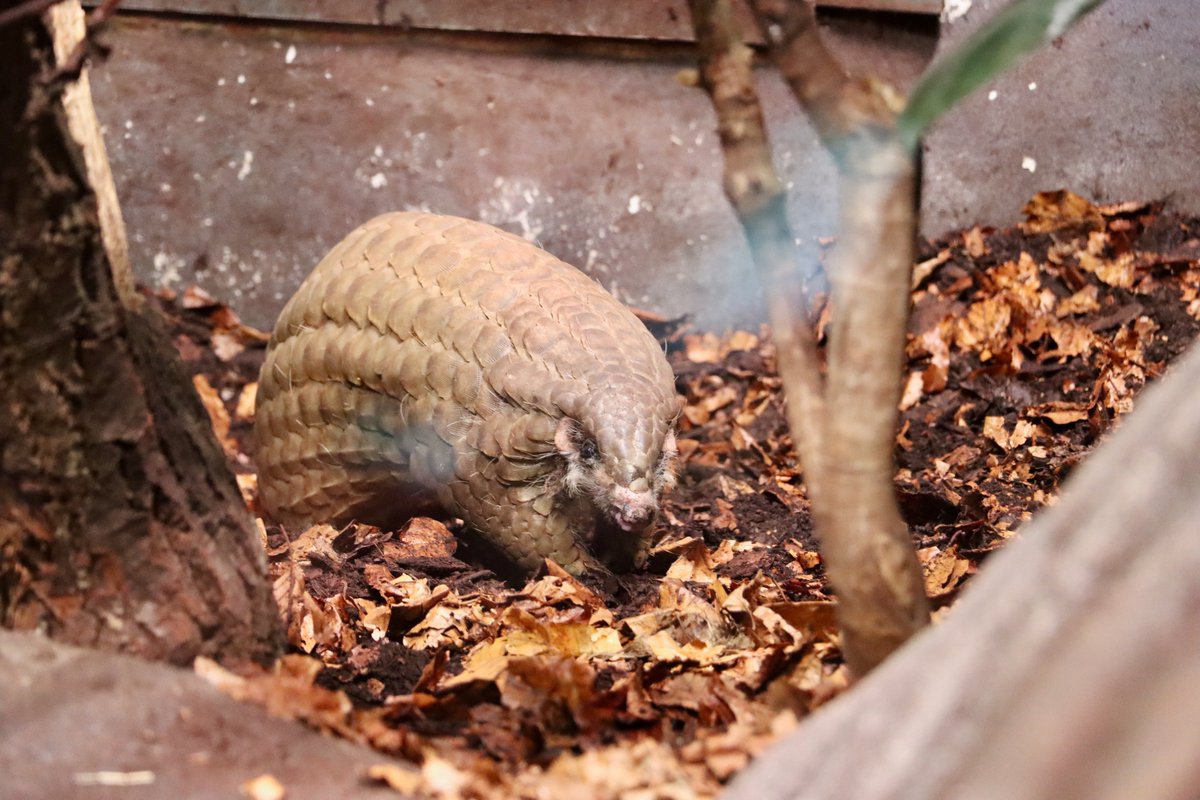 Jack Baker 🌵🐾 tweet media