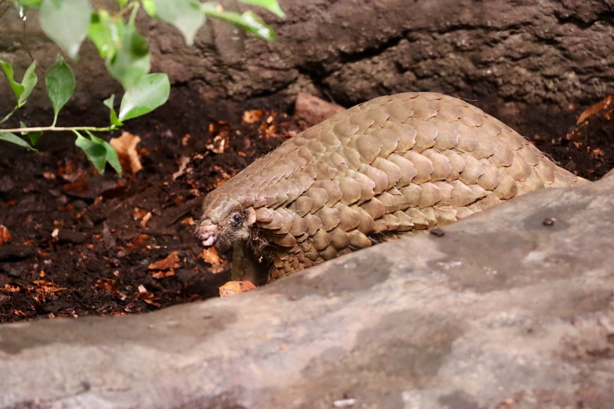 Jack Baker 🌵🐾 tweet media