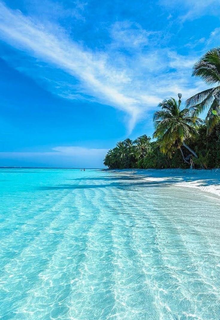 Addict Views tweet media