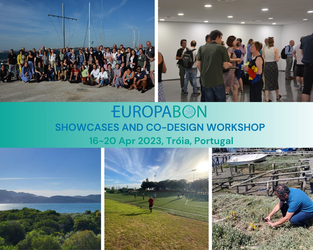 EuropaBon_H2020's tweet photo. 📢Last week EuropaBON held its showcases and co-design workshop in Tróia, Portugal🇵🇹, where more than 60 experts gathered to discuss and outline the steps towards outlining the design of a network of sites to monitor EBVs across Europe.🌿
📖Read more: https://t.co/0aY6xG5tEl https://t.co/YRMjV97yJD