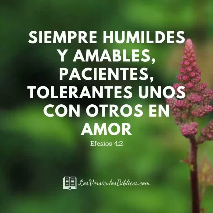 Efesios 4:2

Siempre humildes y amables, pacientes, tolerantes unos con otros en amor. (Efesios 4:2)