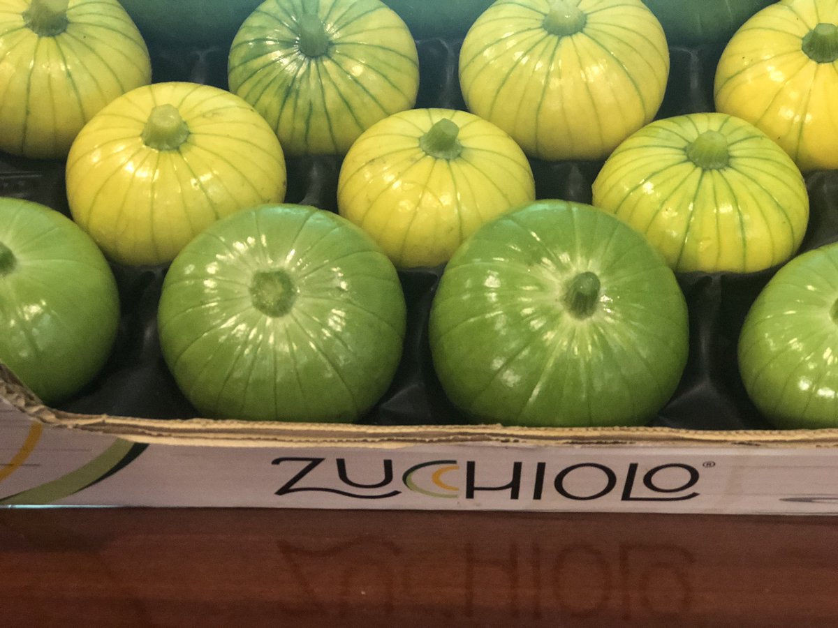 fruittoday's tweet photo. El nombre de este nuevo producto, Zucchiolo, es una mezcla de zucchini/zucca (calabacín/calabaza) y cetriolo (pepino). En Argentina y Uruguay el zapallito (Cucurbita maxima) es un producto ampliamente conocido  #agricultura https://t.co/eqwvAunOCn
