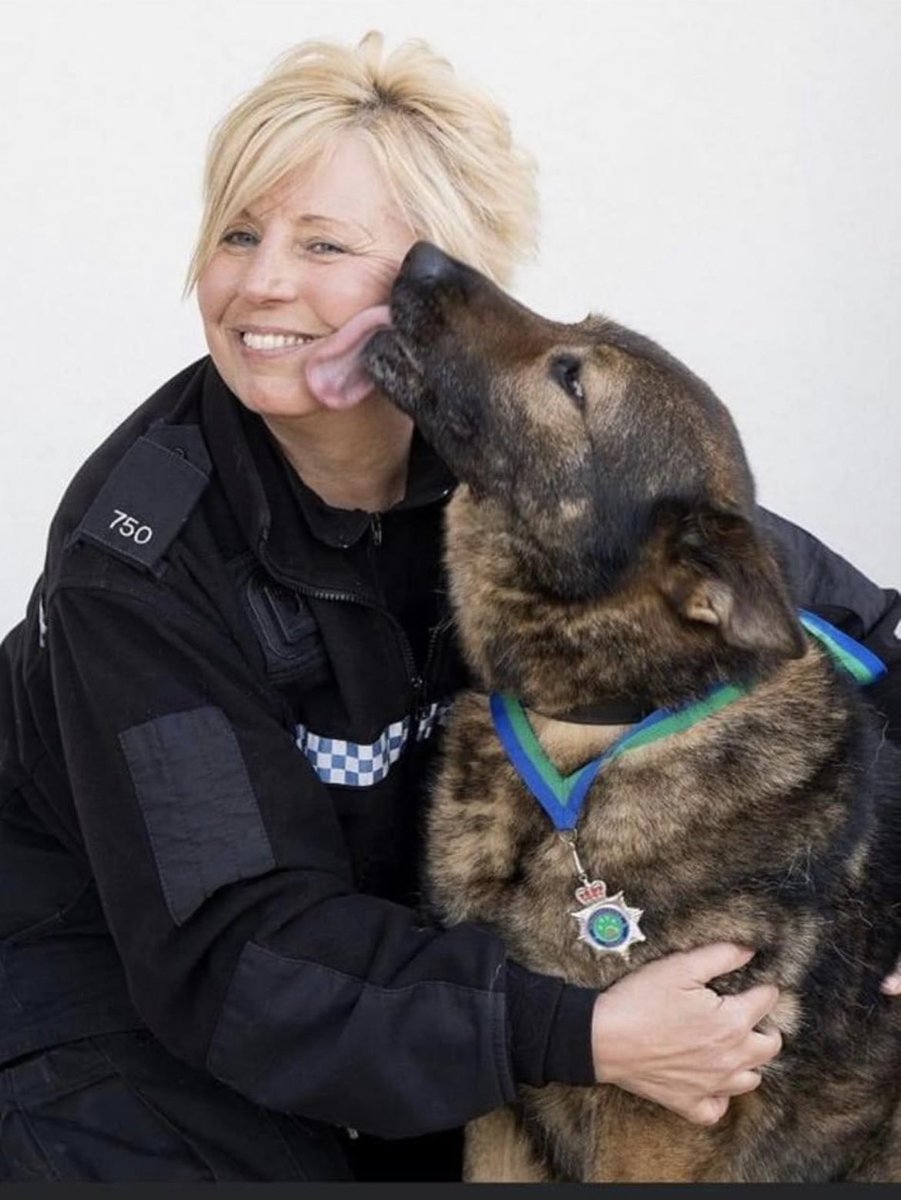 Today we remember PC 750 Karen Bloor who sadly passed away two years ago 🕯️💙
Over her career Kaz raised thousands of pounds for charities. 
She was a local hero who was loved by her colleagues. We miss you Kaz (DZ32)😔 #doghandler #police #remember