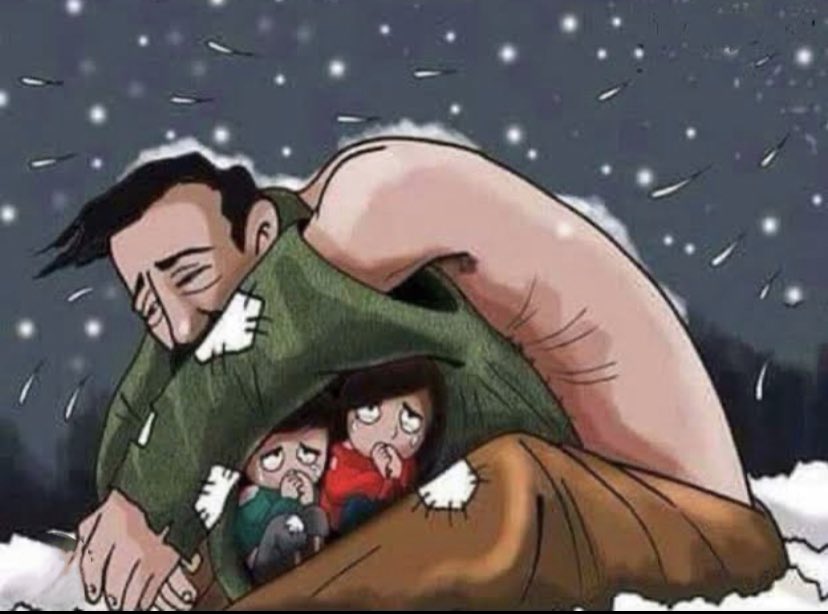 CatTalesDaily (@cat_tales_daily) on Twitter photo 