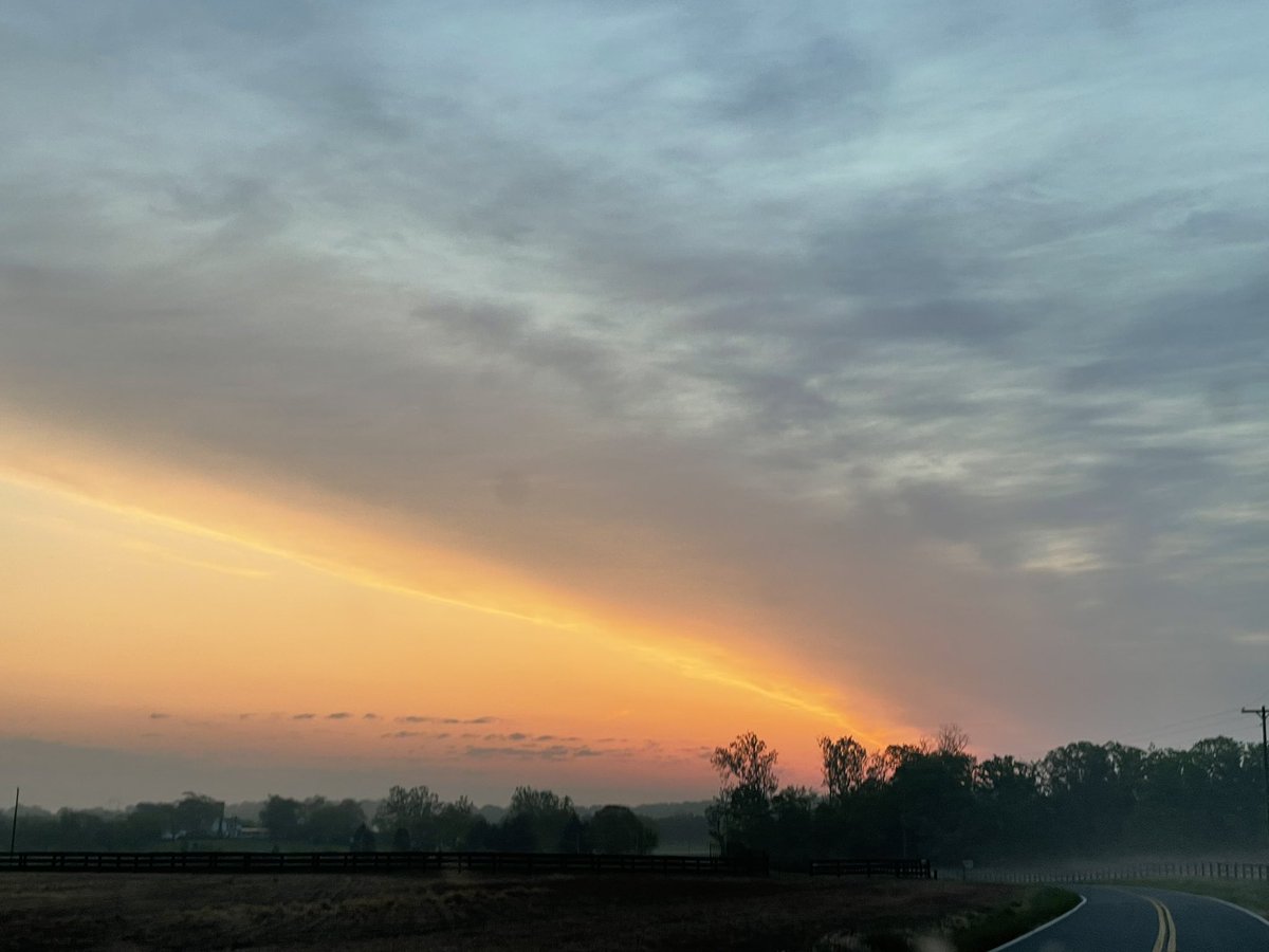 Tina Katz tweet media