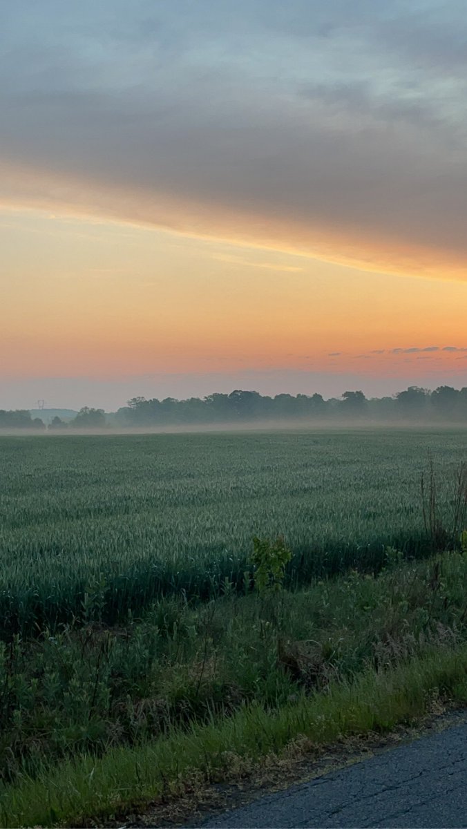 Tina Katz tweet media