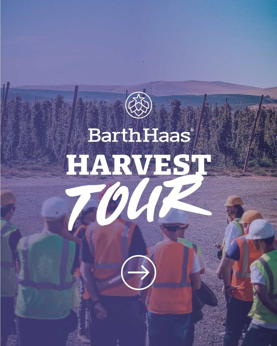 BarthHaasX's tweet photo. Our HOP HARVEST TOURS journey through hop fields, explore the future of hops with insights into crop development at the BarthHaas processes 😊 

Register now for either or both locations! Good luck!
https://t.co/PyI2QSGVox

#barthhaasx #hops #harvest #hopharvesttour #germany #usa https://t.co/l2fK5673IC