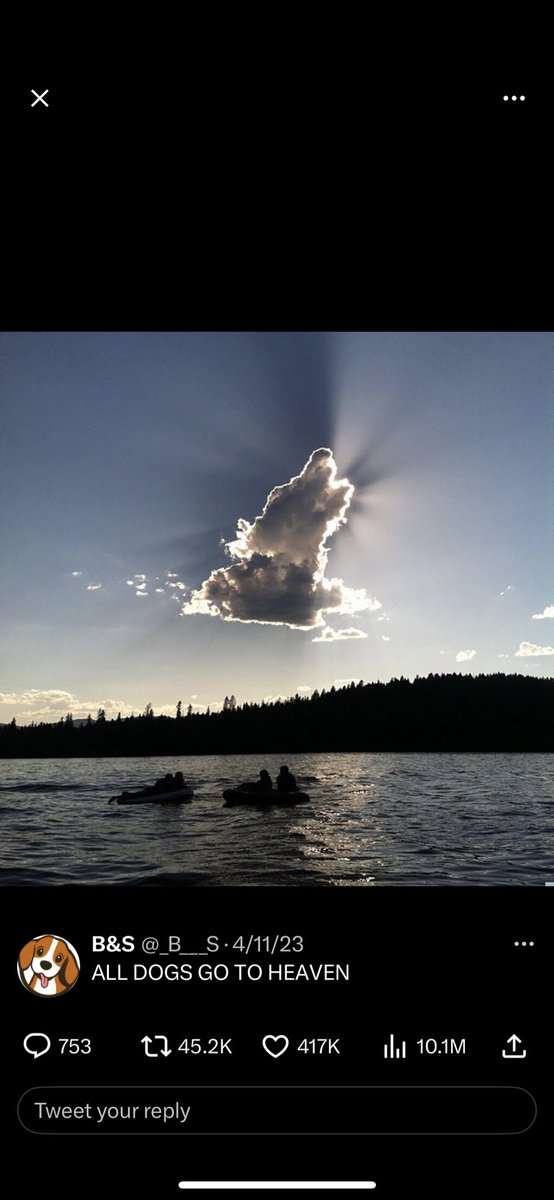 ia_bms's tweet photo. Thought Minnesota Wild logo when I first saw this pic on Twitter. https://t.co/zq0wNM0aGM