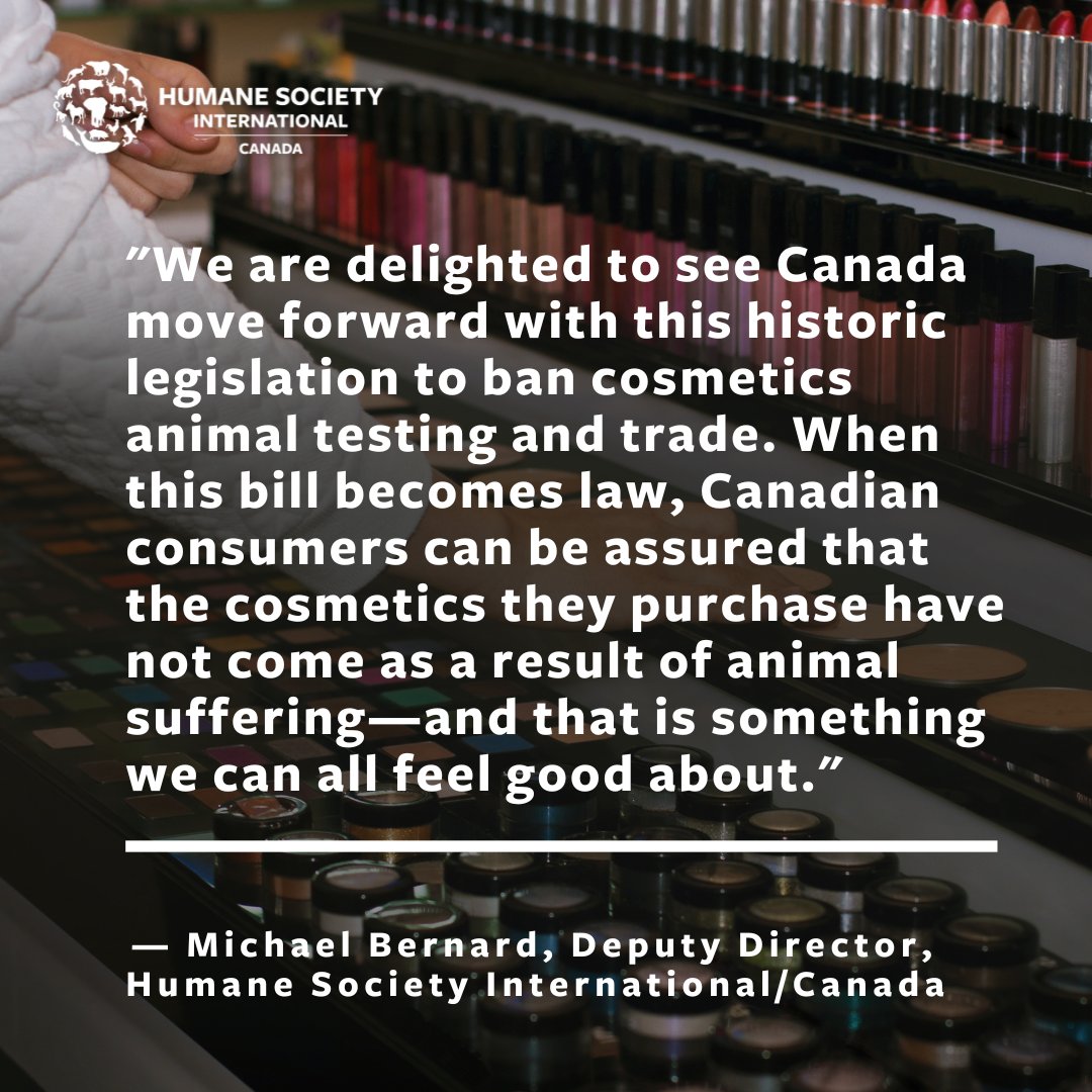 humaneworldcan's tweet photo. We're nearing the end of cosmetics animal testing in Canada! 🇨🇦

With the pending #BudgetImplementationAct , the government included measures that will prohibit testing cosmetics on animals in Canada.  

Read more: https://t.co/RGCRhQ2CRj https://t.co/17l4DAr1G3