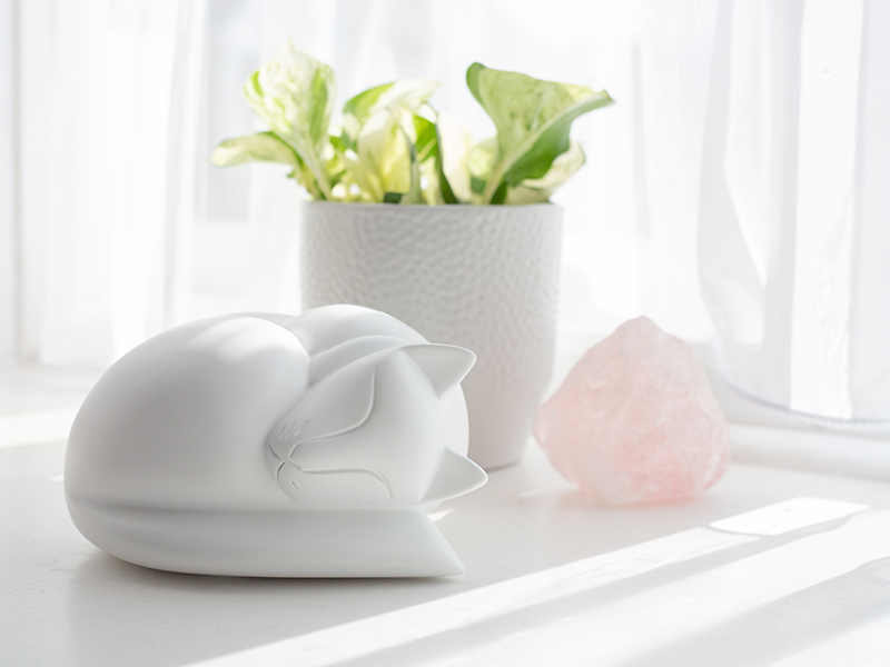 petributes's tweet photo. Sleeping Cat Urns are among our best loved #ashescaskets for cats. Available in both wood and resin, these beautiful figurines conceal a discreet ashes container in the base, and provide the perfect #restingplace for your beloved #cat 🐈
https://t.co/rSWm7IQOS9 https://t.co/WlWFIoflf5