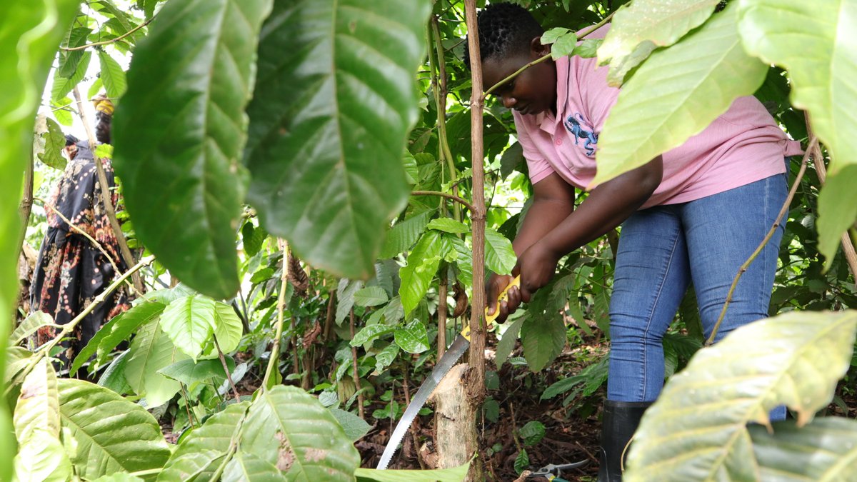 JKCC GENERAL SUPPLIES LTD tweet media